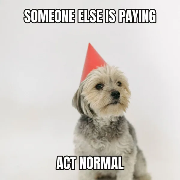 "ACT NORMAL" — dog wearing a hat, funny birthday meme