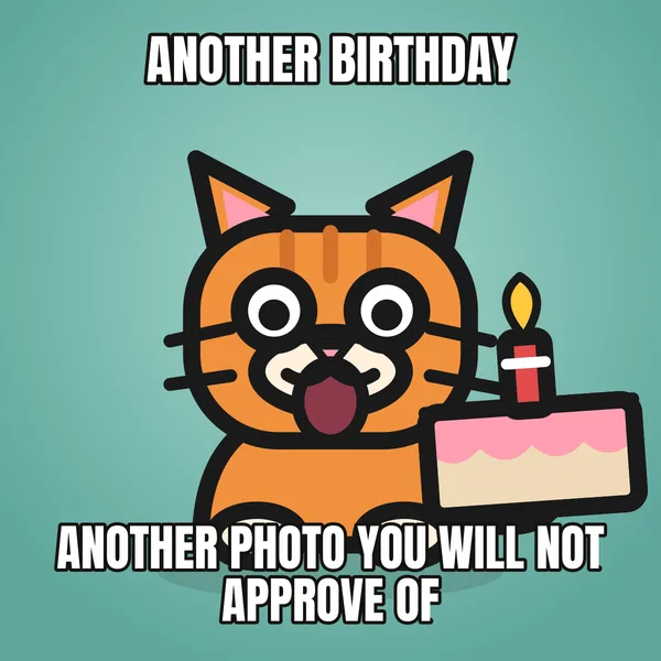 "ANOTHER PHOTO YOU WILL NOT APPROVE OF" — illustrated cat with a cake, funny birthday meme