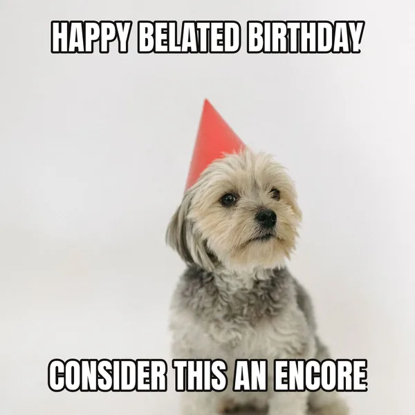 "CONSIDER THIS AN ENCORE" — dog wearing a hat, belated birthday meme