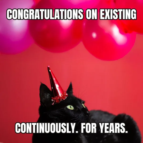 "CONTINUOUSLY. FOR YEARS." — cat wearing a hat, funny birthday meme