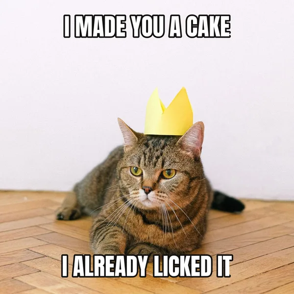 "I ALREADY LICKED IT" — cat wearing a crown, wholesome birthday meme