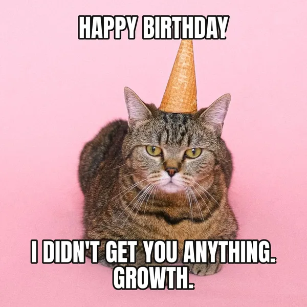 "I DIDN'T GET YOU ANYTHING. GROWTH." — cat wearing a hat, sarcastic birthday meme