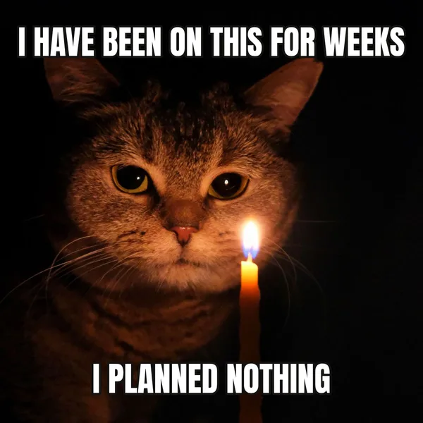 "I PLANNED NOTHING" — cat wearing a candles, funny birthday meme