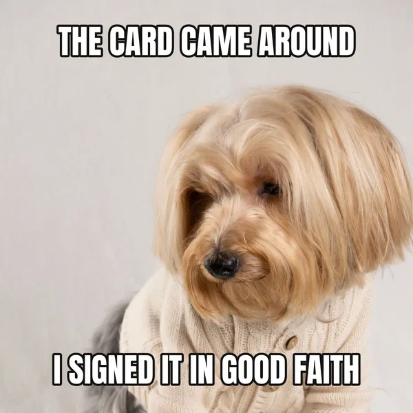 "I SIGNED IT IN GOOD FAITH" — dog wearing a cake, coworker birthday meme