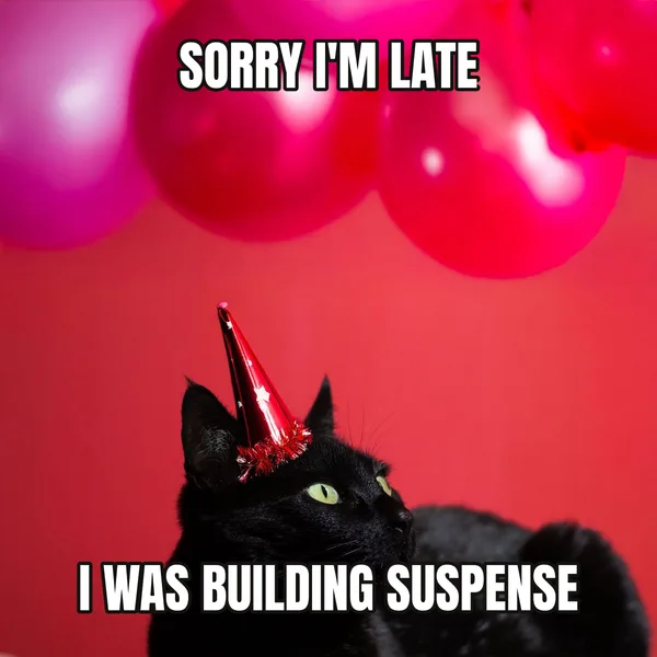 "I WAS BUILDING SUSPENSE" — cat wearing a hat, belated birthday meme