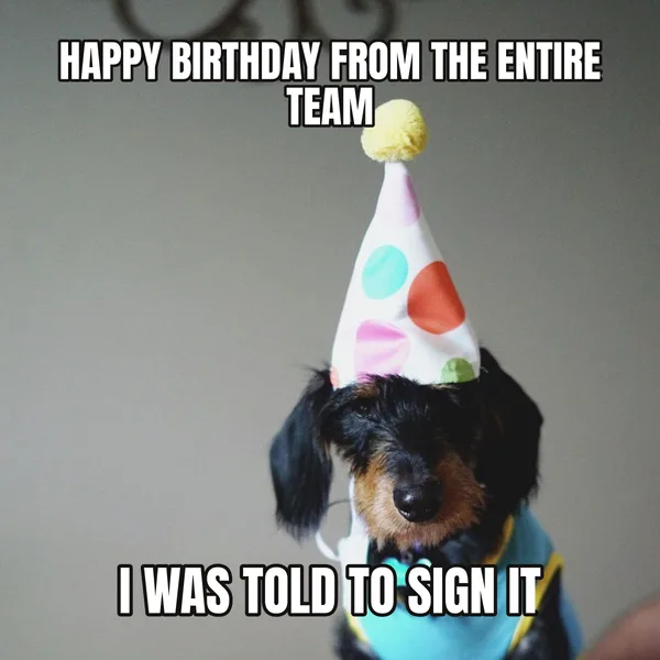 "I WAS TOLD TO SIGN IT" — dog wearing a hat, coworker birthday meme