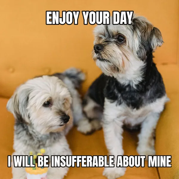 "I WILL BE INSUFFERABLE ABOUT MINE" — dog wearing a hat, sarcastic birthday meme