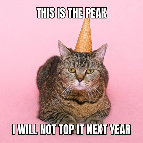 "I WILL NOT TOP IT NEXT YEAR" — cat wearing a hat, sarcastic birthday meme