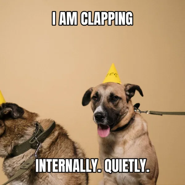 "INTERNALLY. QUIETLY." — dog wearing a hat, sarcastic birthday meme