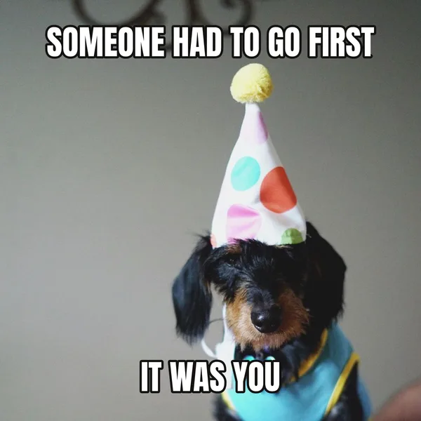 "IT WAS YOU" — dog wearing a hat, funny birthday meme
