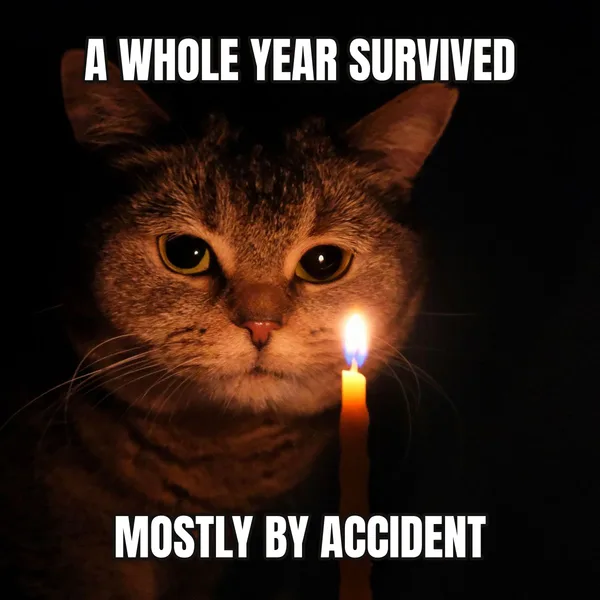 "MOSTLY BY ACCIDENT" — cat wearing a candles, funny birthday meme