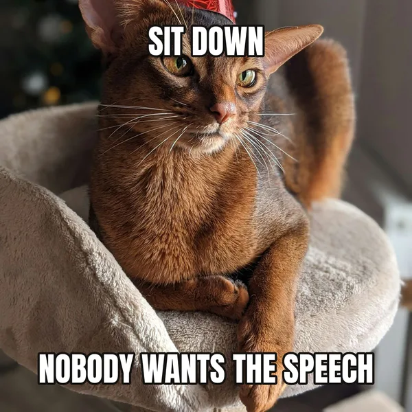 "NOBODY WANTS THE SPEECH" — cat wearing a hat, funny birthday meme