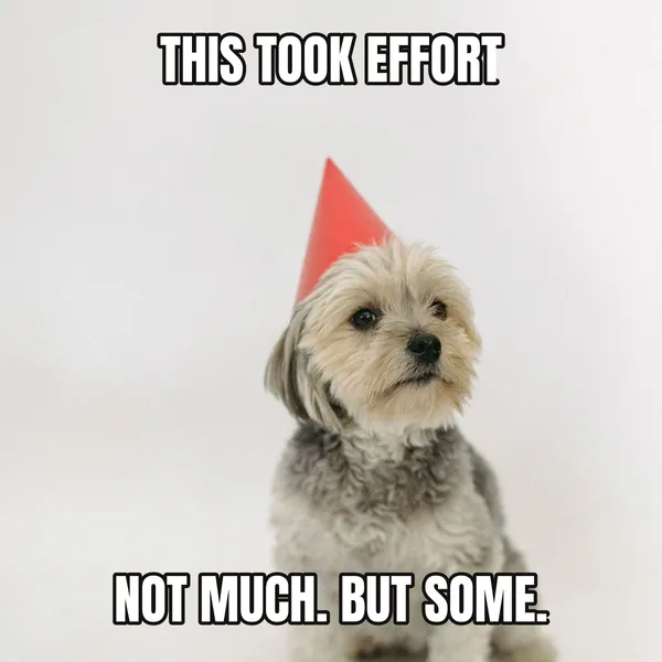"NOT MUCH. BUT SOME." — dog wearing a hat, sarcastic birthday meme