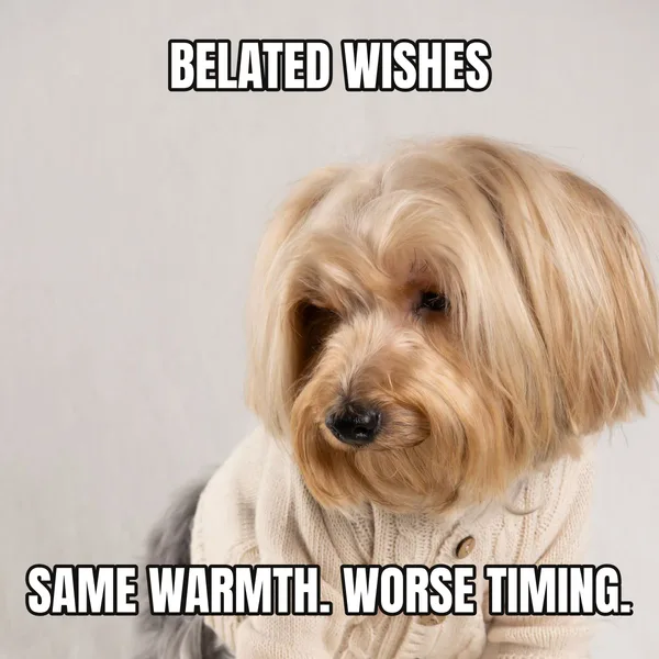 "SAME WARMTH. WORSE TIMING." — dog wearing a cake, belated birthday meme