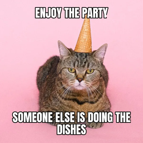 "SOMEONE ELSE IS DOING THE DISHES" — cat wearing a hat, funny birthday meme