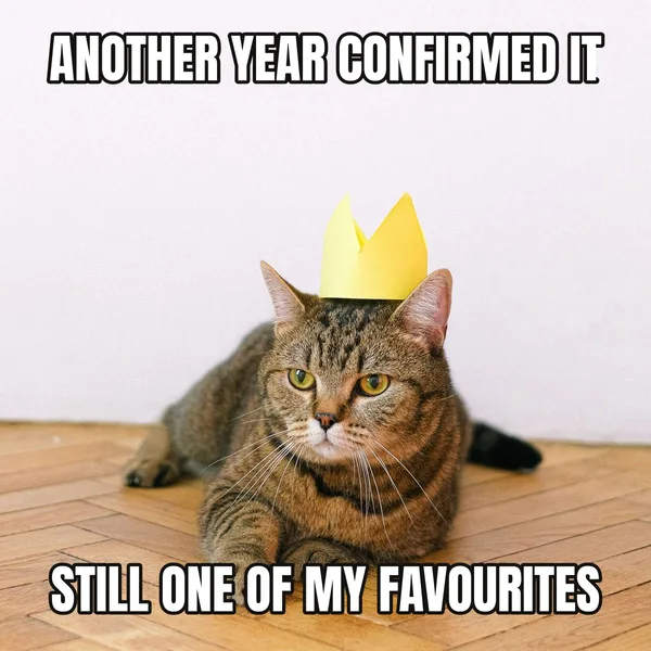 "STILL ONE OF MY FAVOURITES" — cat wearing a crown, wholesome birthday meme