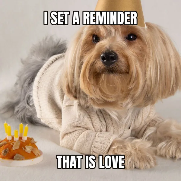 "THAT IS LOVE" — dog wearing a hat, sarcastic birthday meme