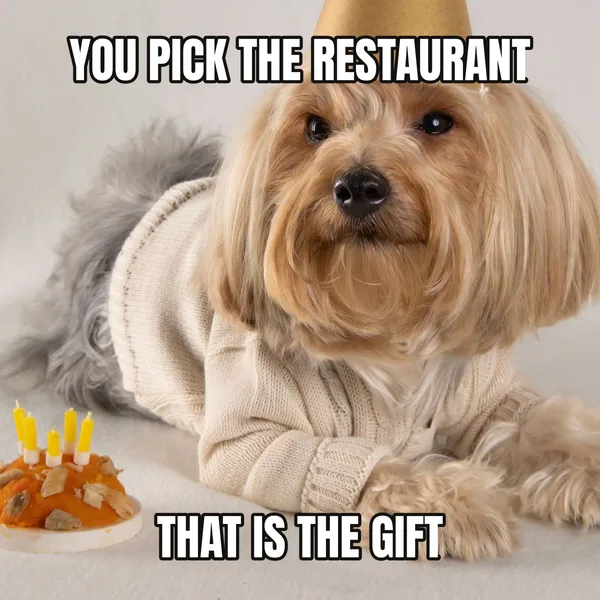 "THAT IS THE GIFT" — dog wearing a hat, funny birthday meme