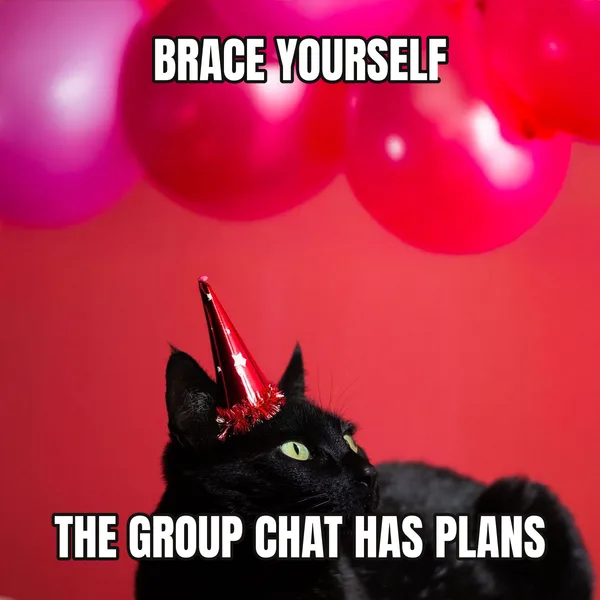 "THE GROUP CHAT HAS PLANS" — cat wearing a hat, funny birthday meme