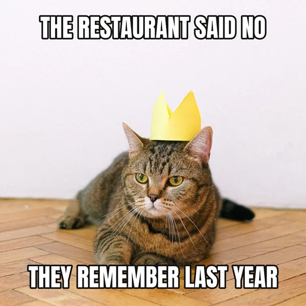 "THEY REMEMBER LAST YEAR" — cat wearing a crown, sarcastic birthday meme