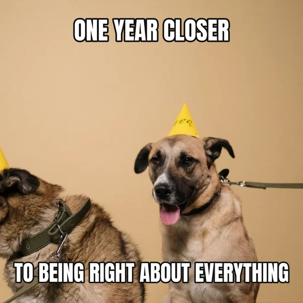 "TO BEING RIGHT ABOUT EVERYTHING" — dog wearing a hat, funny birthday meme