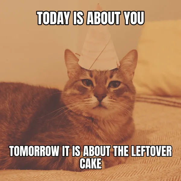 "TOMORROW IT IS ABOUT THE LEFTOVER CAKE" — cat wearing a hat, funny birthday meme