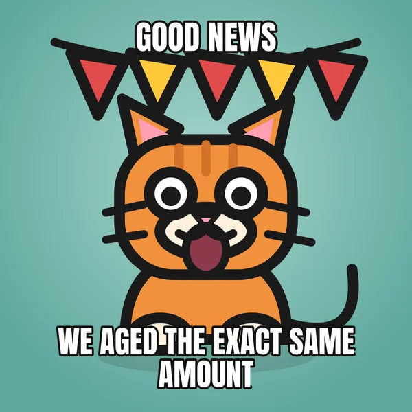 "WE AGED THE EXACT SAME AMOUNT" — illustrated cat with a banner, funny birthday meme