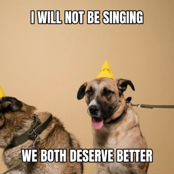 "WE BOTH DESERVE BETTER" — dog wearing a hat, funny birthday meme