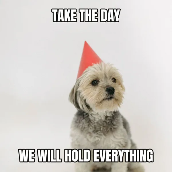 "WE WILL HOLD EVERYTHING" — dog wearing a hat, boss birthday meme