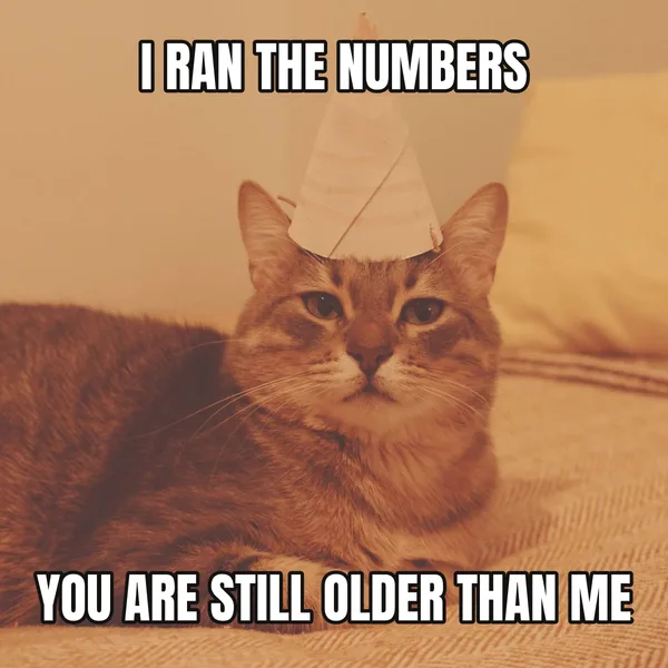 "YOU ARE STILL OLDER THAN ME" — cat wearing a hat, funny birthday meme