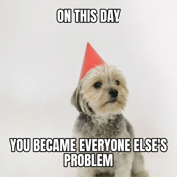 "YOU BECAME EVERYONE ELSE'S PROBLEM" — dog wearing a hat, funny birthday meme