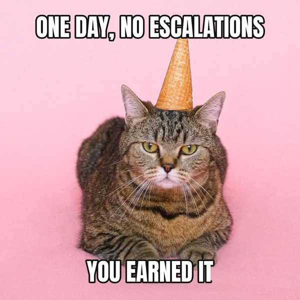 "YOU EARNED IT" — cat wearing a hat, boss birthday meme