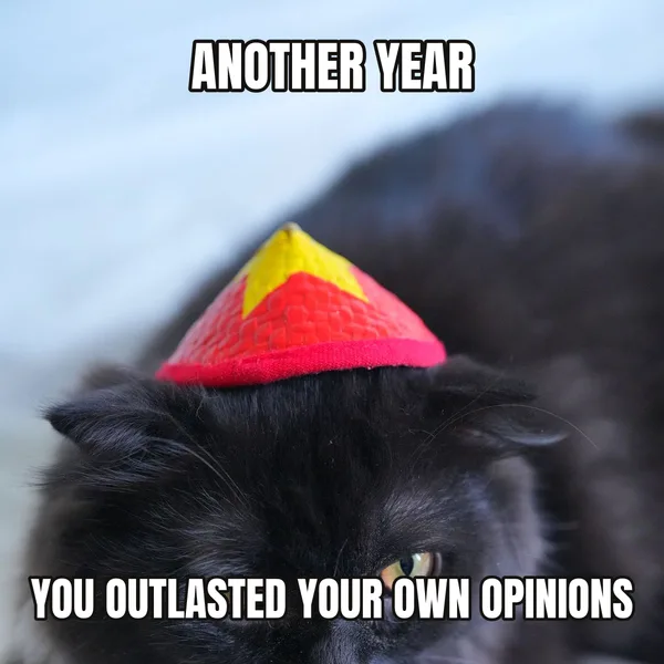 "YOU OUTLASTED YOUR OWN OPINIONS" — cat wearing a hat, sarcastic birthday meme