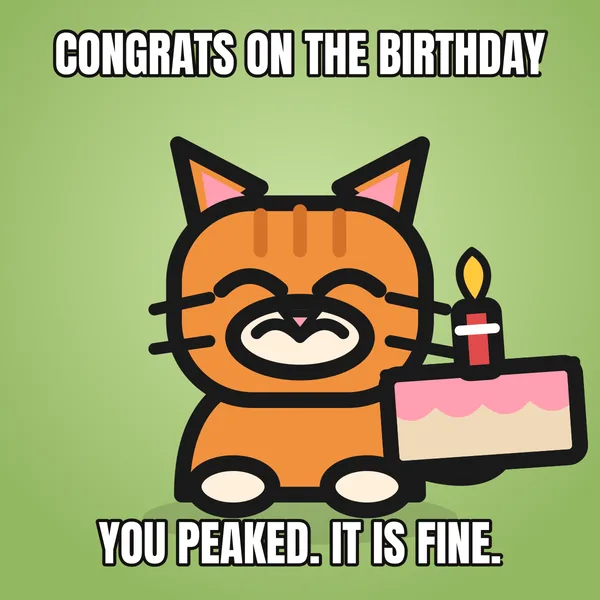 "YOU PEAKED. IT IS FINE." — illustrated cat with a cake, sarcastic birthday meme