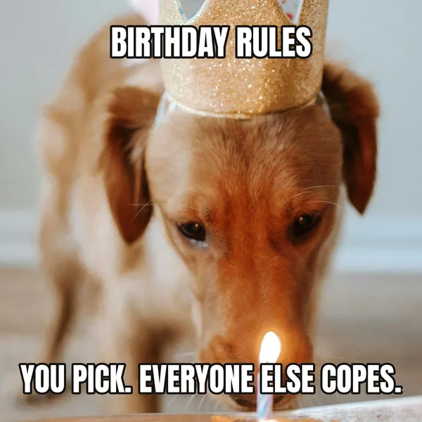 "YOU PICK. EVERYONE ELSE COPES." — dog wearing a crown, funny birthday meme